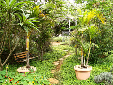 jardim de ervas Pousada Jardim do Eden